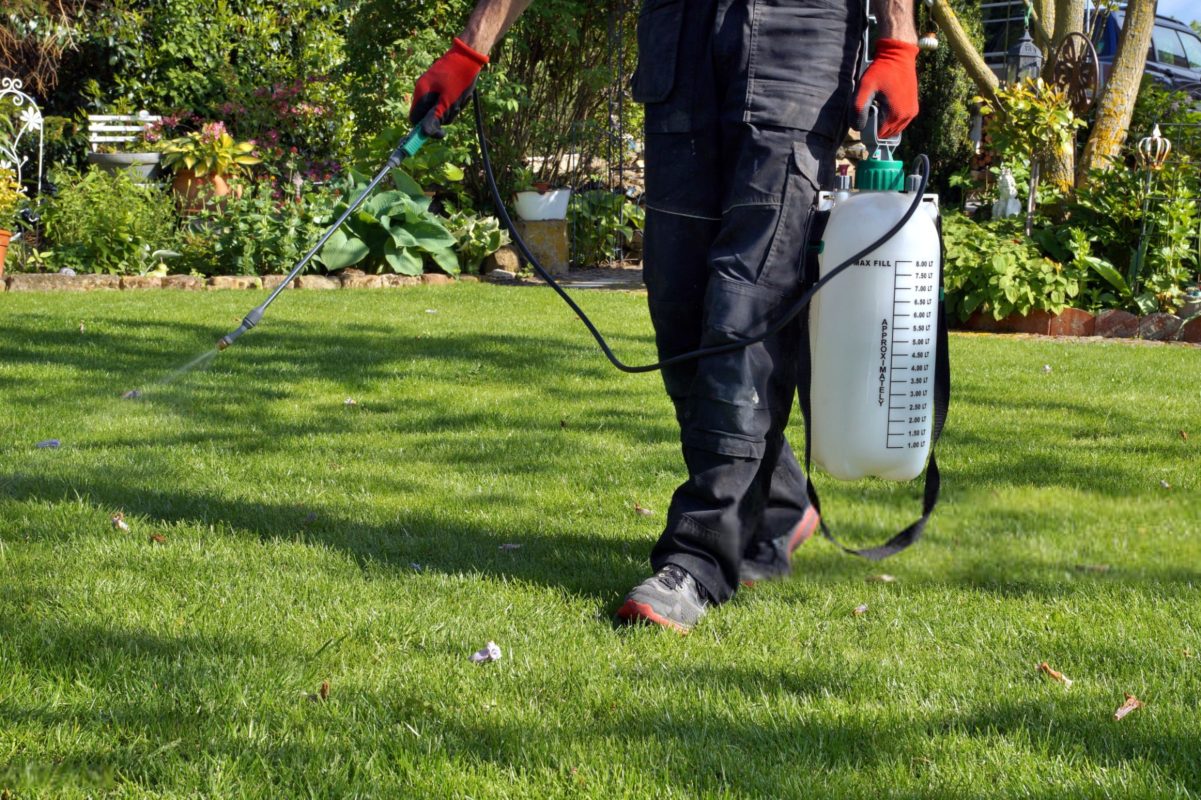 Public Health Pesticides