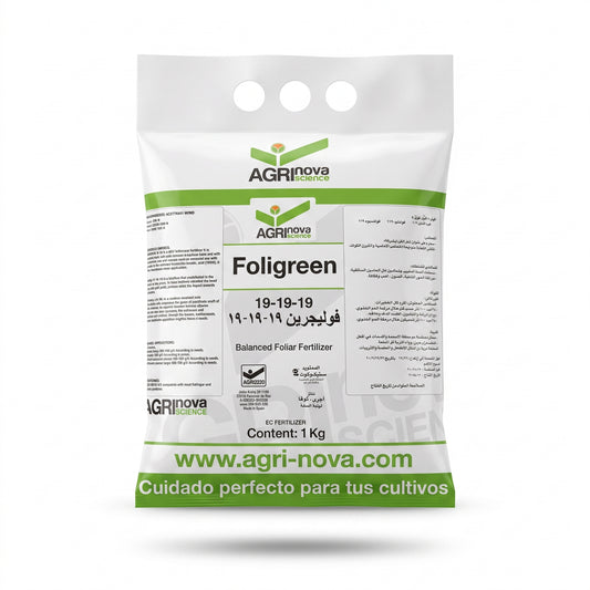 Foligreen 19-19-19