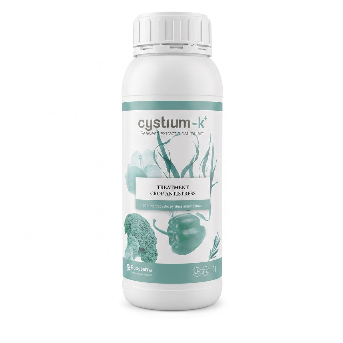 cystium-k plus