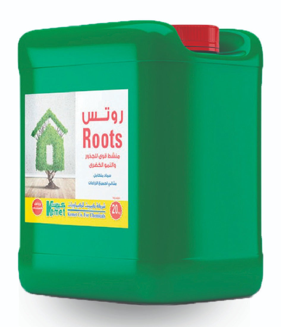Roots I روتس