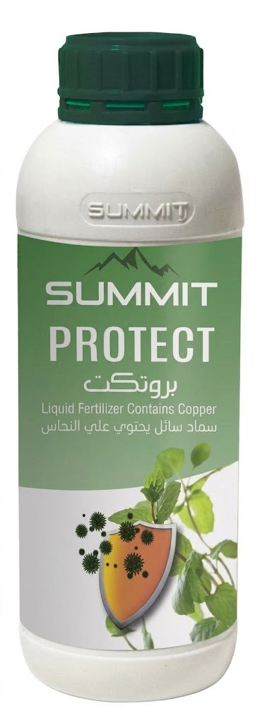 Protect I بروتيكت