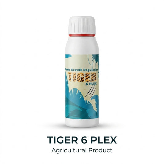 Tiger 6 % I تايجر %6