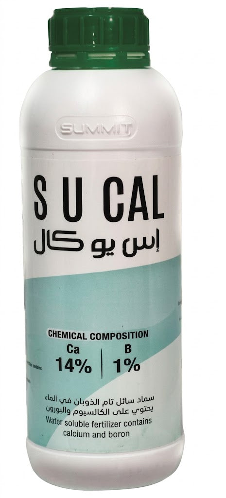 S U CAL I اس يو كال