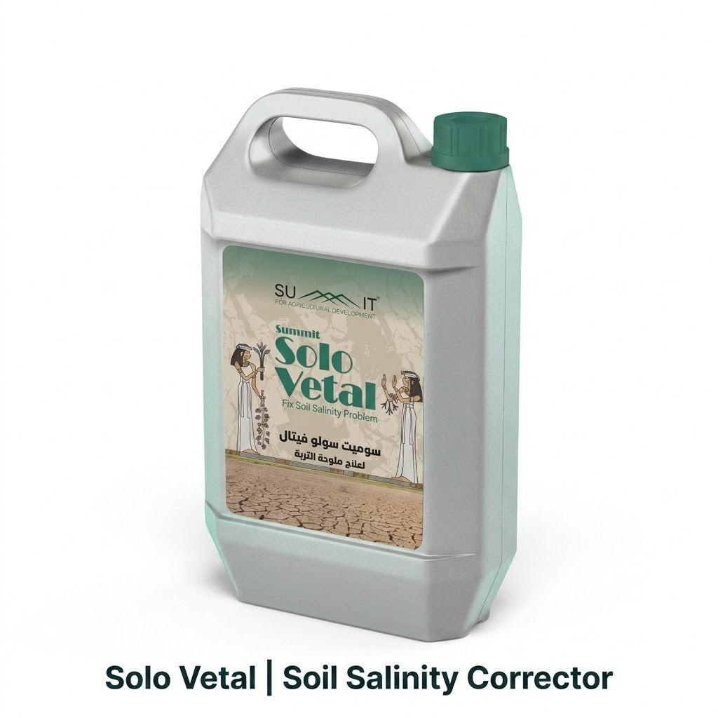 Solo Vetal I سولو فيتال